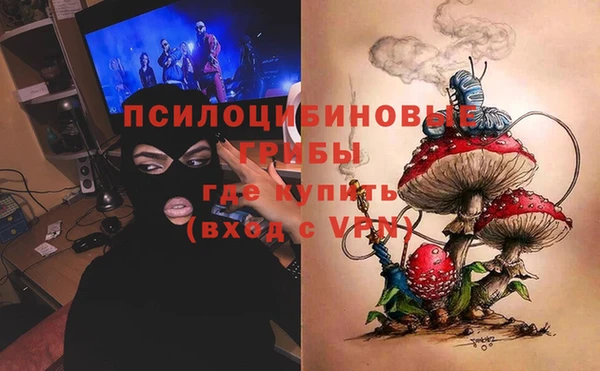 соль ск Алексин